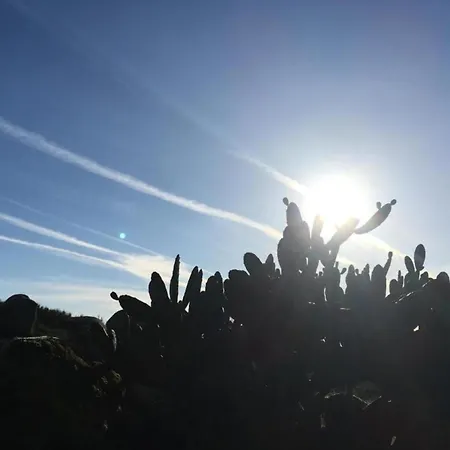In Near Serra Da Estrela Nyaraló *