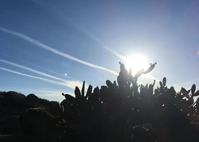In Near Serra Da Estrela Semesterbostad *