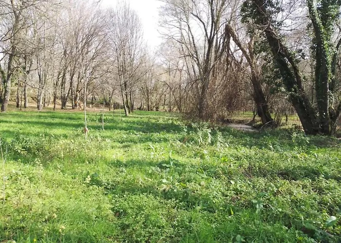 Semesterbostad In Near Serra Da Estrela